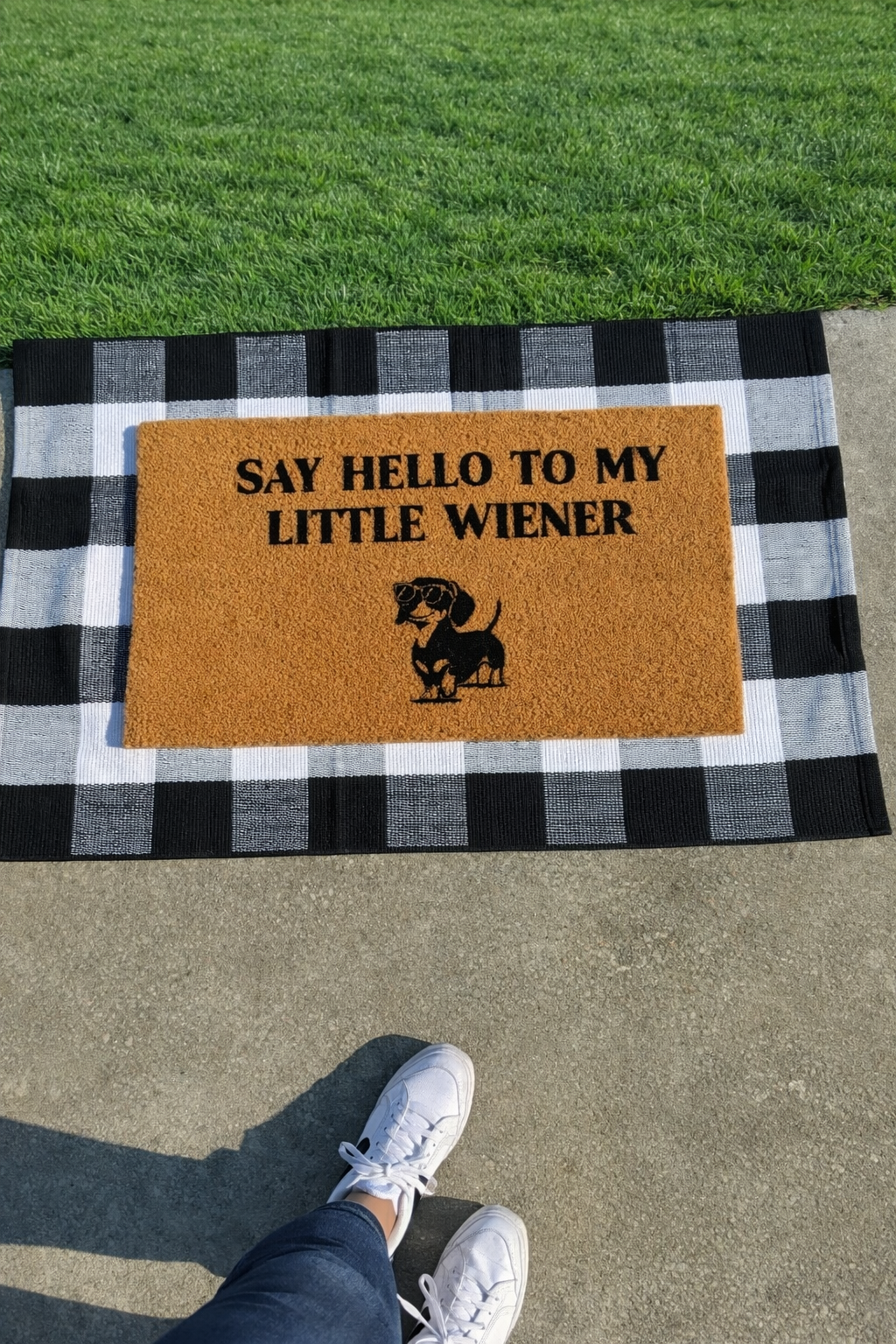 Say Hello Funny Doormat